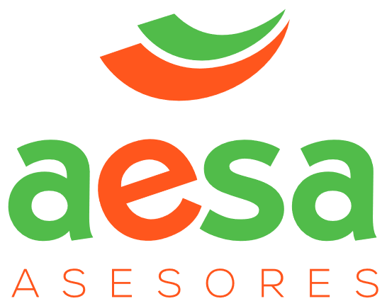 Logo AESA ASESORES